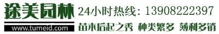 綠化苗木價(jià)格 - 常綠喬木批發(fā) - 灌木樹(shù)苗基地 - 成都途美園林綠化